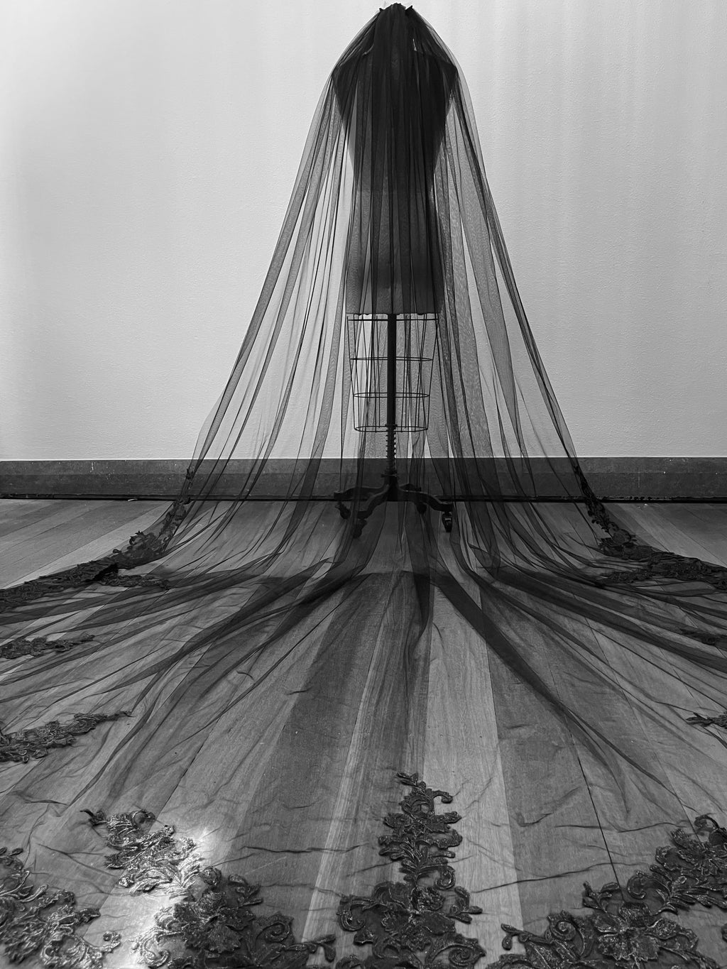 Logan Veil