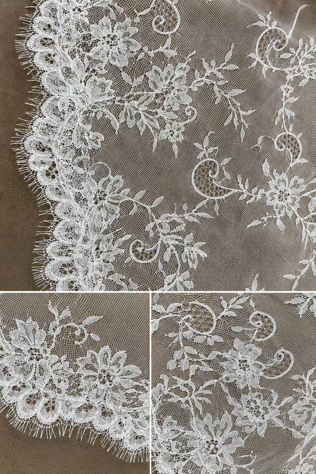 Dorothea Veil