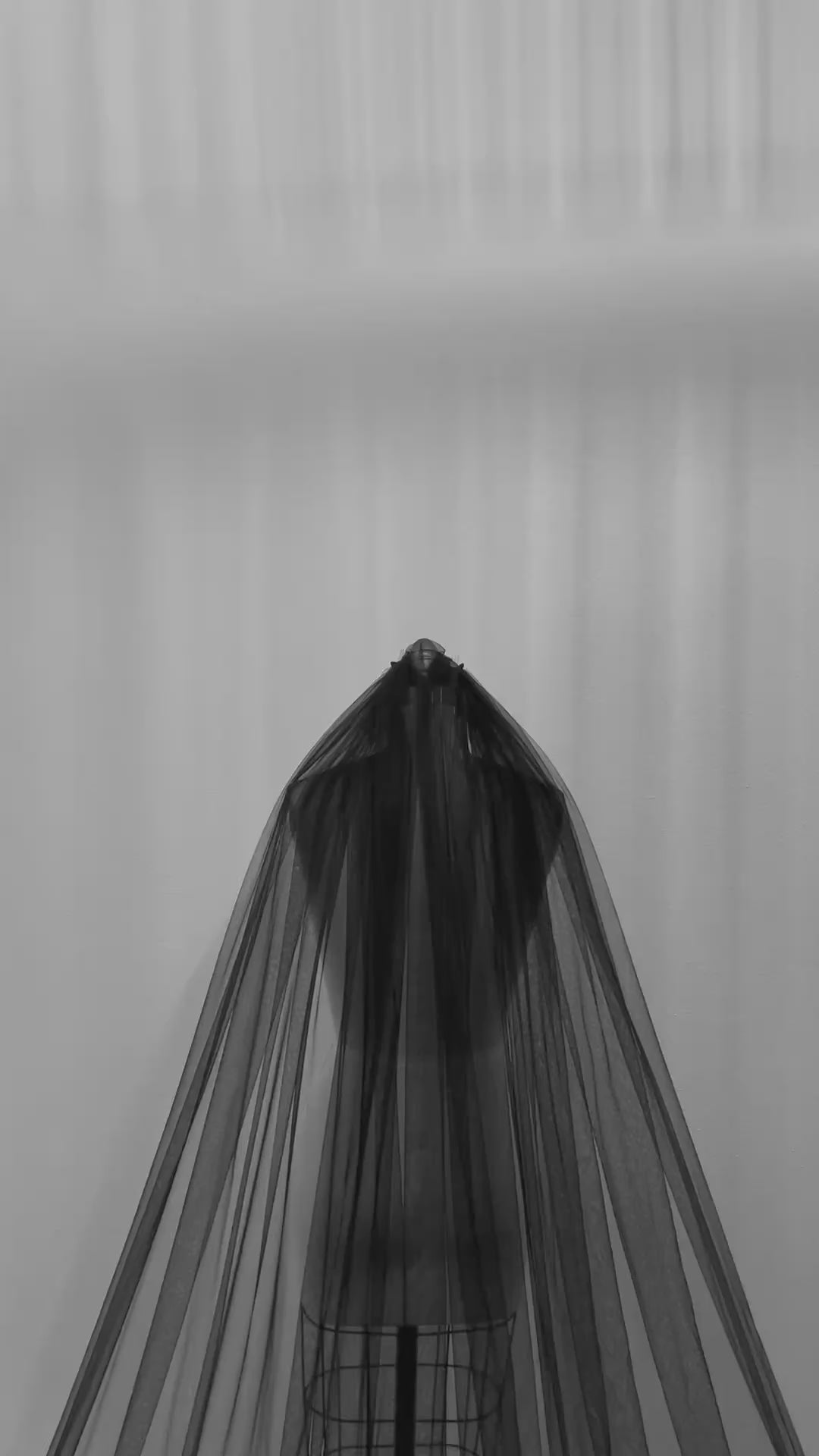 Logan Veil